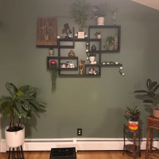 Review - AppleUser - 05-Jan-2024