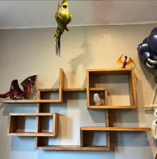 Review - Jane - 04-Jun-2023