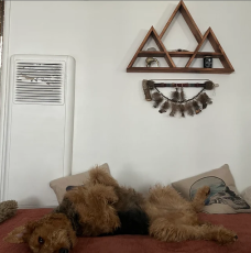 Review - Ksenia-Luna - 14-Oct-2023